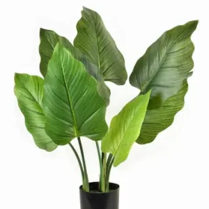 Kwiat sztuczny alocasia h65cm w doniczce VIRIDIS Niska cena