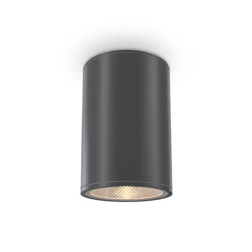 Maytoni Outdoor Bar O306CL-L12GF Graphite Ostatnie sztuki