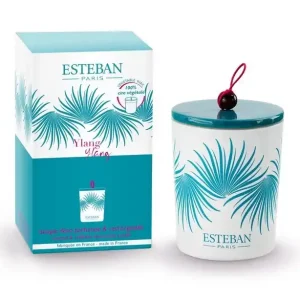 Zamów teraz Świeca zapachowa dekoracyjna 180g ylang-ylang - Esteban